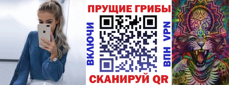 Купить  Ковров  Галлюциногенные грибы прущие грибы